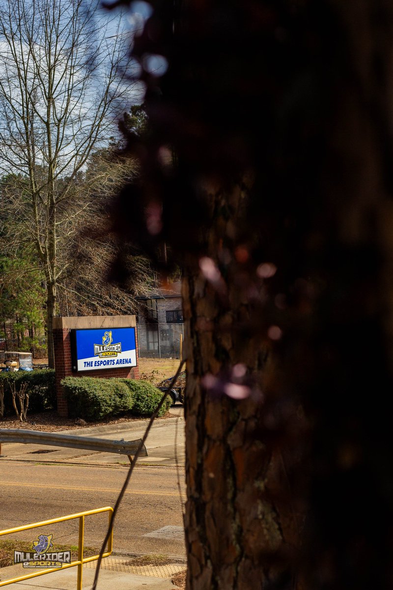 Mulerider Esports tweet media