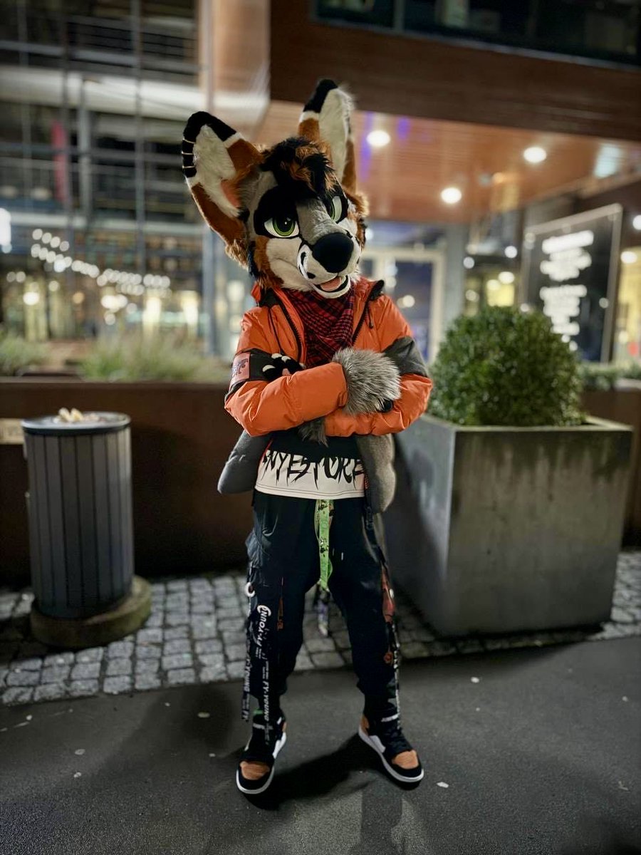 Grey 🧡 🇳🇴 tweet media