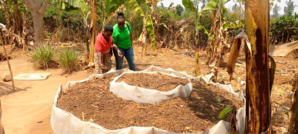 Save Generations Org tweet media