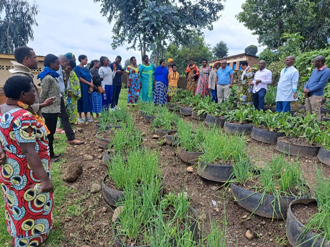 Save Generations Org tweet media