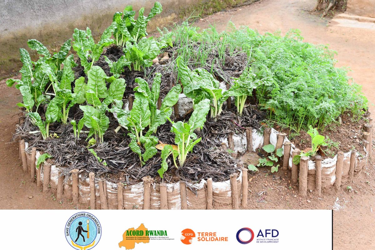 Save Generations Org tweet media