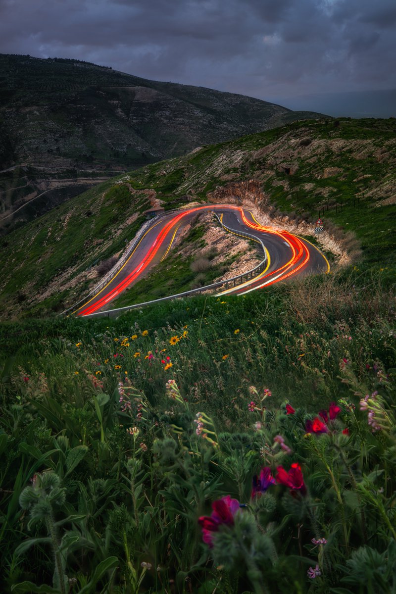 Alexander Seleznyov | World Traveler tweet media