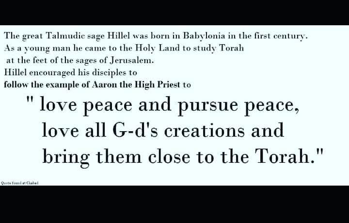 Sarah Thomas tweet media