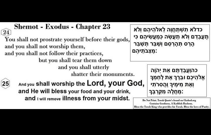 Sarah Thomas tweet media