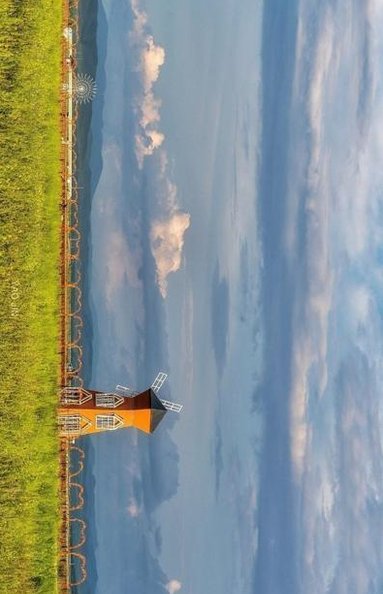 谷口 結穂 tweet media