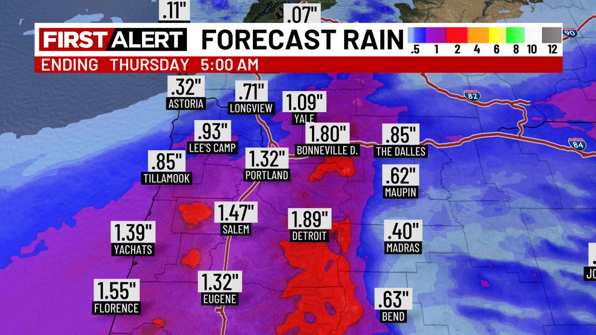 Katie Zúñiga tweet media