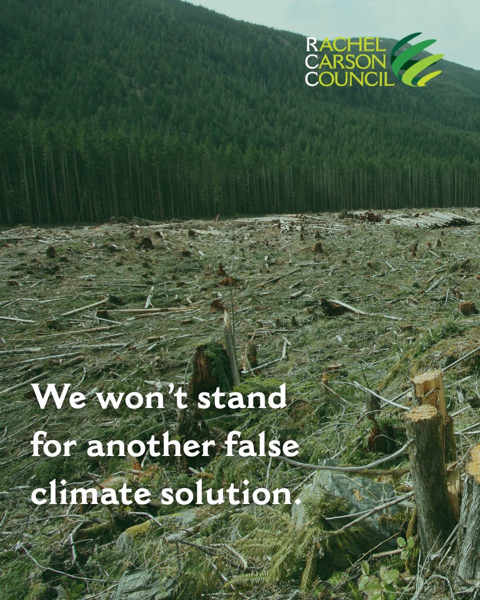 Rachel Carson Council tweet media