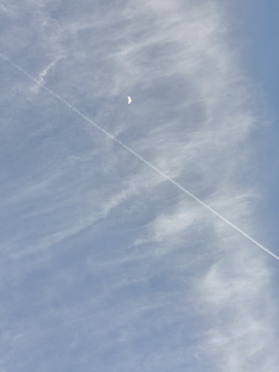 𝐒𝐈𝐄𝐌𝐏𝐑𝐄  estará ahí y en mí 🤍🪽