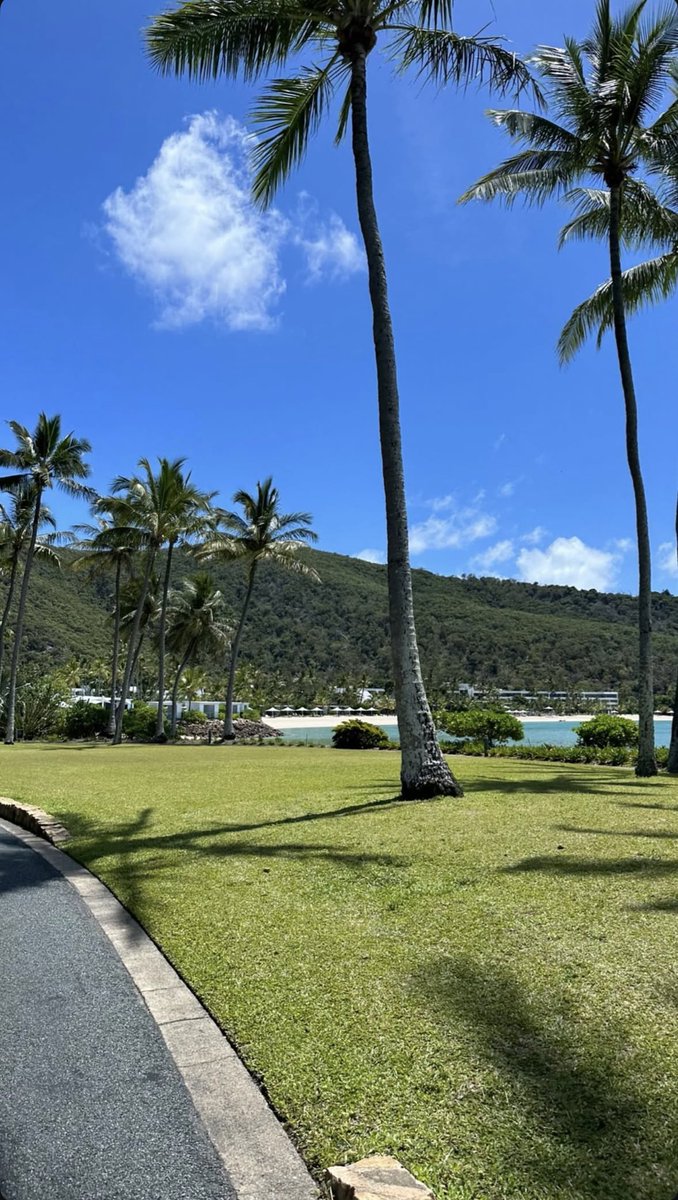 ZILO💲 tweet media