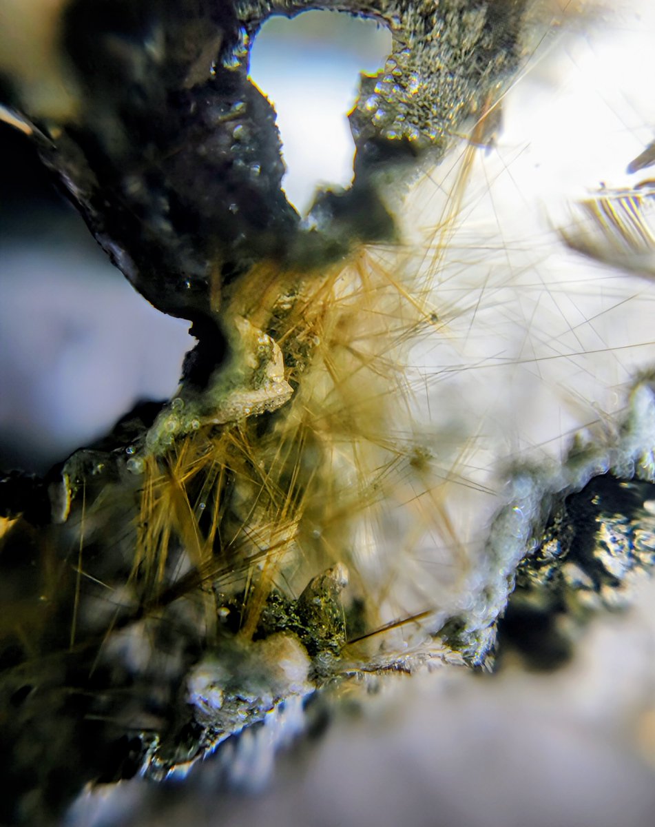 それでは今晩はこのへんで。 おやすみなさい。またあした。 ルチルin