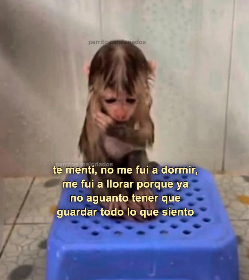 bauldefrases (@suspirxsalaire) on Twitter photo 