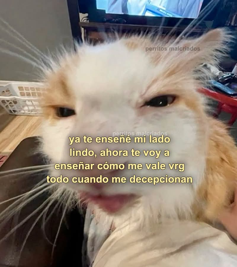 bauldefrases (@suspirxsalaire) on Twitter photo 