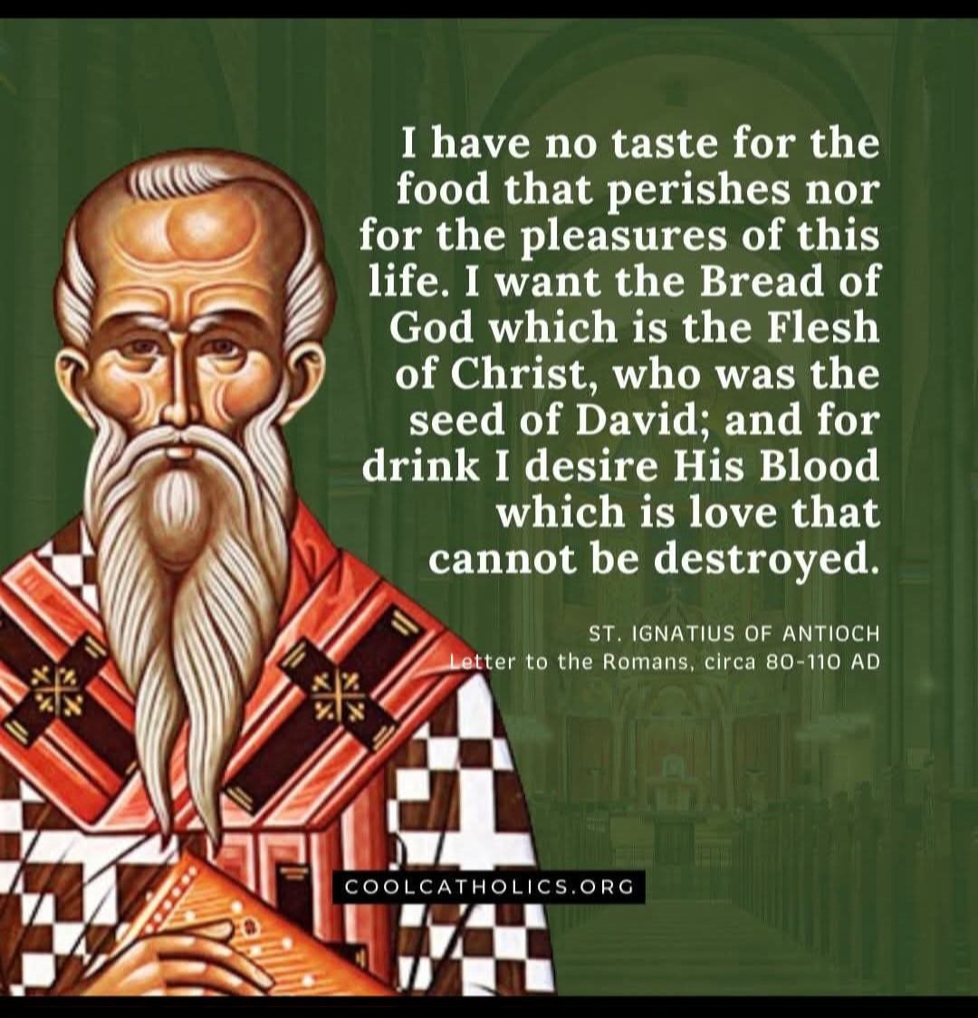 Sarah Fagg tweet media