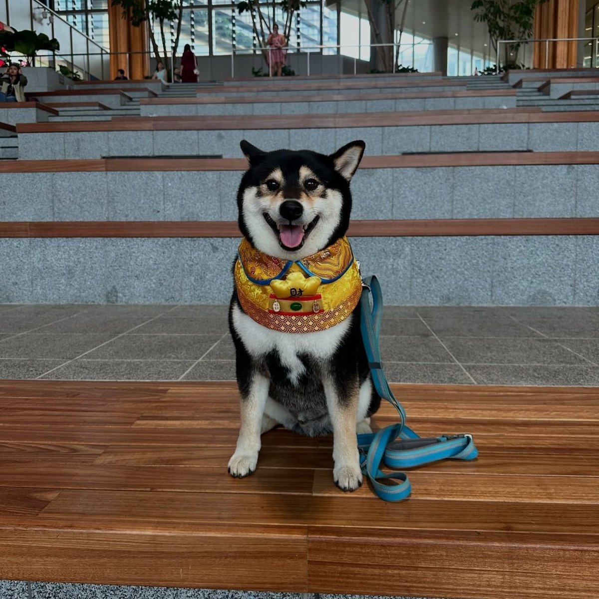 Those who are patient always win.

Good entry for Kuro.