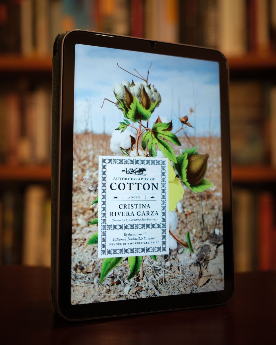 Mandy-Suzanne Wong tweet media