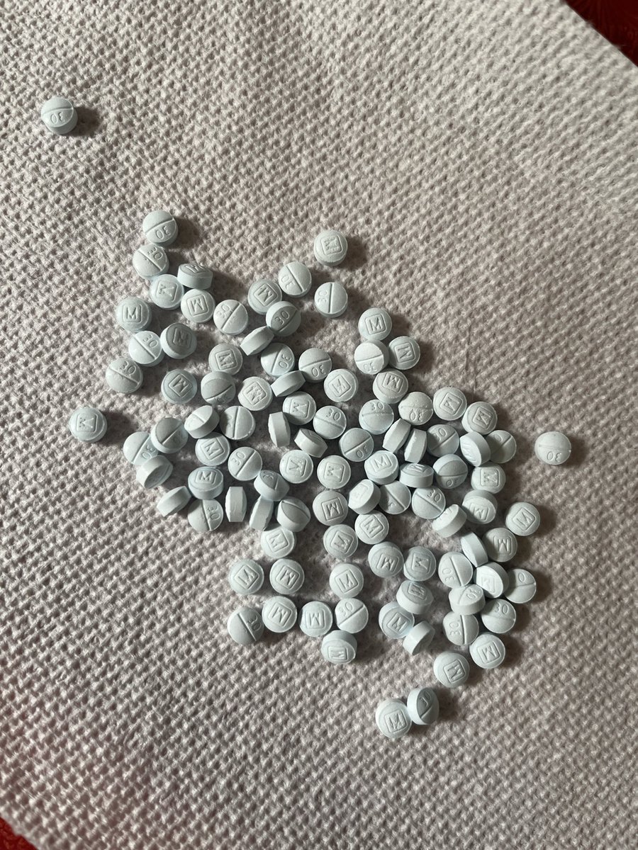 GNAW🐍💚❤️💚 tweet media