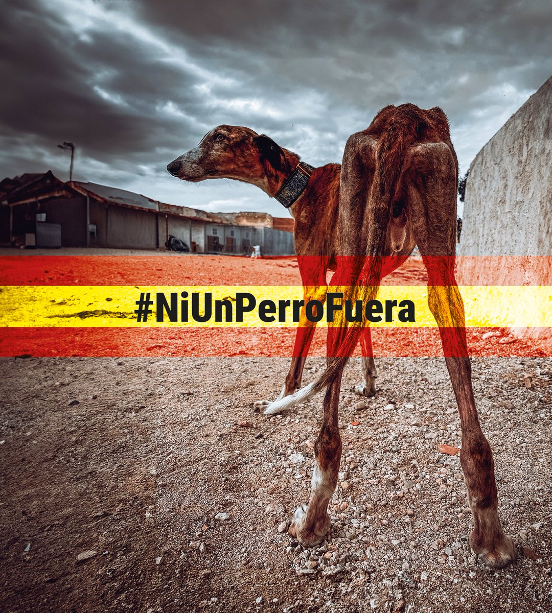 Si crees que todos los perros merecen los mismos derechos, firma, comparte y alza la voz hoy. La diferencia la hacemos entre todos. <a href="/pbustinduy/">Pablo Bustinduy</a> <a href="/AnimalesGob/">D. G. Derechos Animales</a>

🔗 change.org/mismosperrosmi…
#NiUnPerroFuera