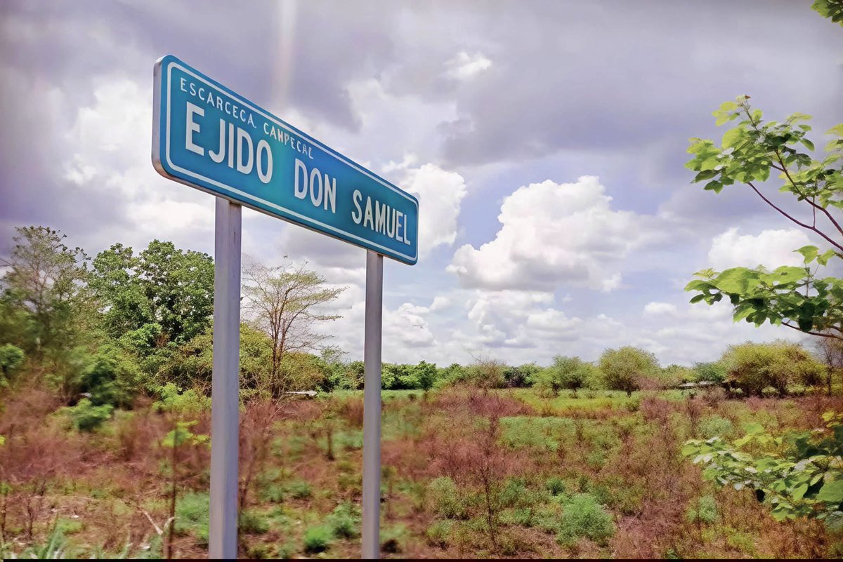 La Barra Noticias tweet media