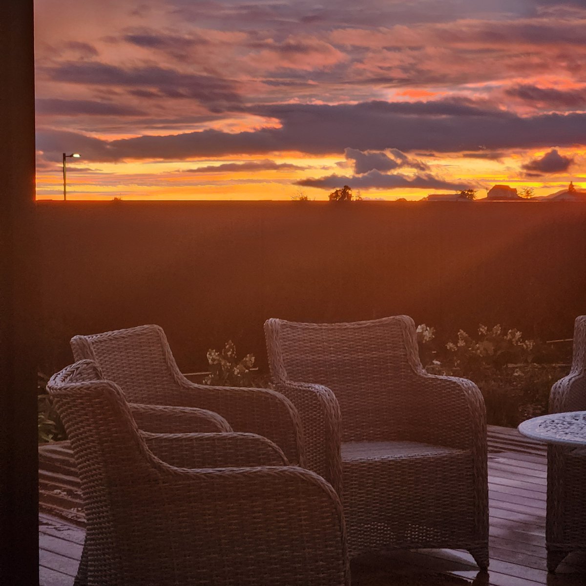 Sande Chin The Underinfluencer tweet media