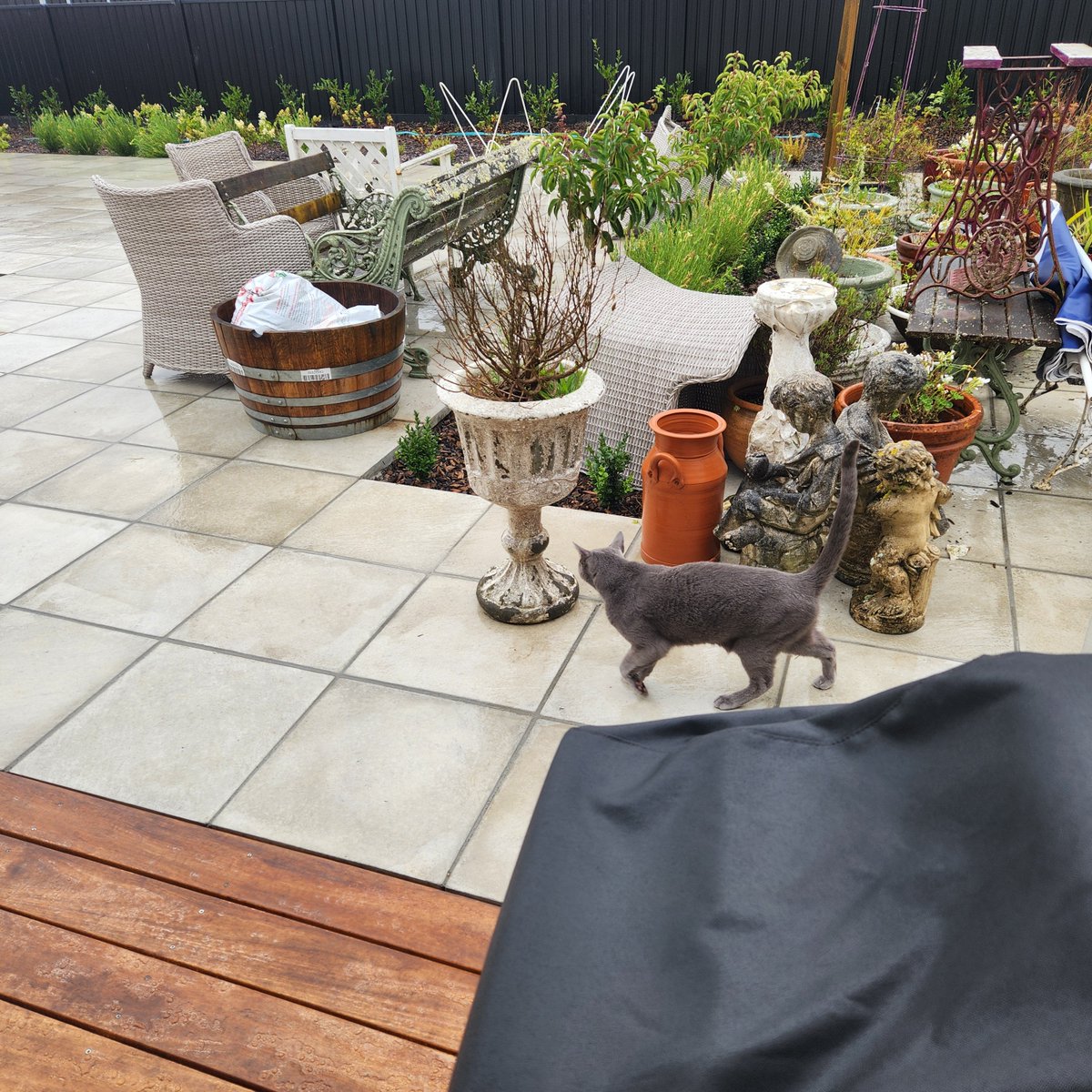 Sande Chin The Underinfluencer tweet media