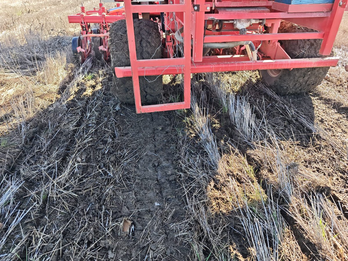 Life Innocereal EU tweet media