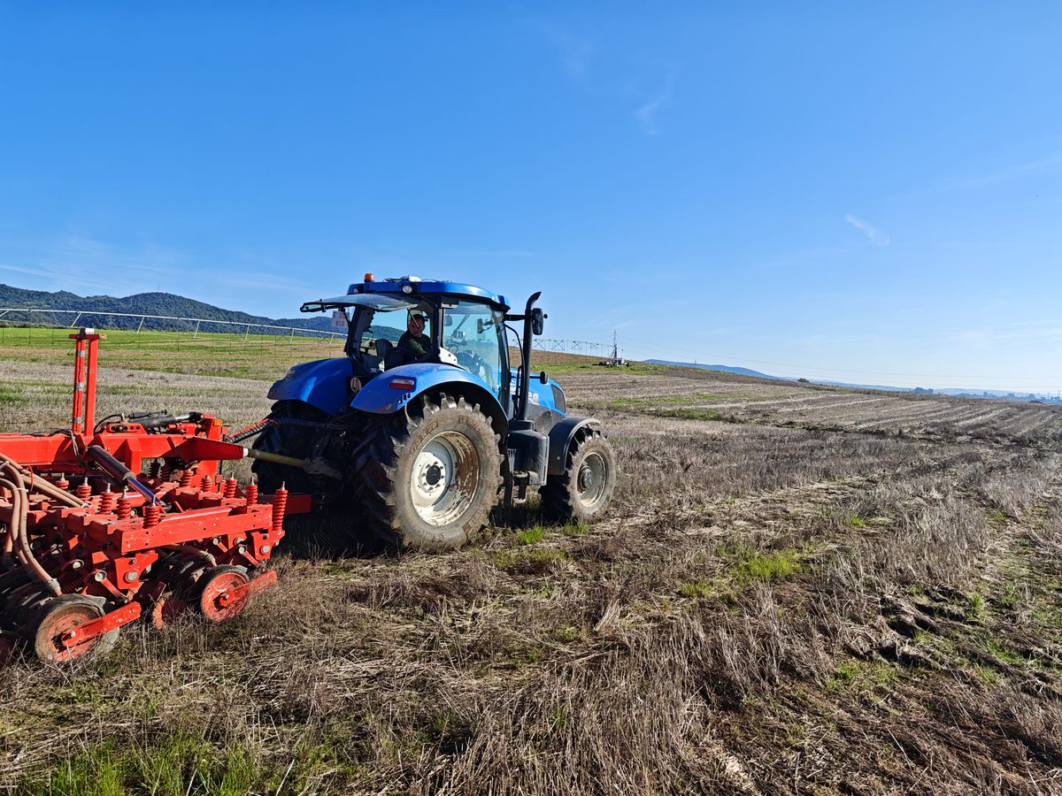 Life Innocereal EU tweet media