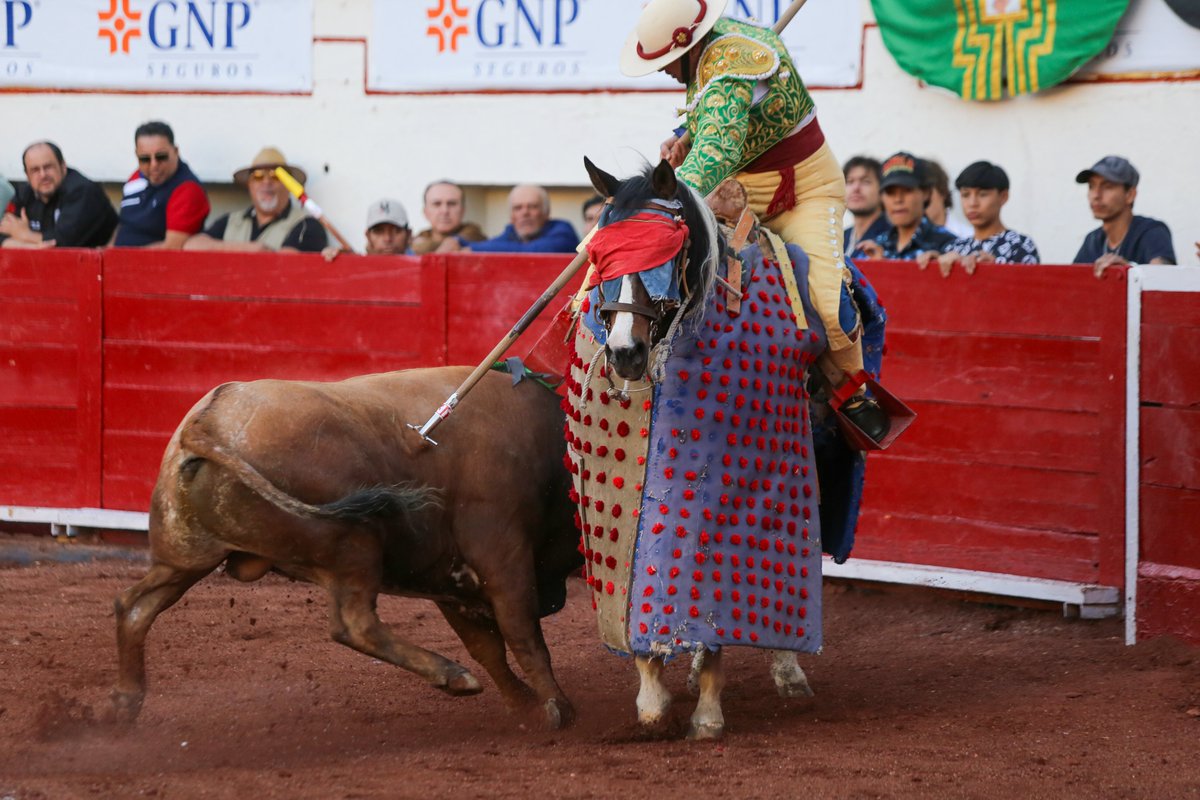 ¡¡¡Todo es Toro!!!
Puyazo Para el Olvido
Segunda Novillada 2026
Plaza de Toros San Marcos
Domingo 22 de Febrero
(Fotografía: Enrique León)