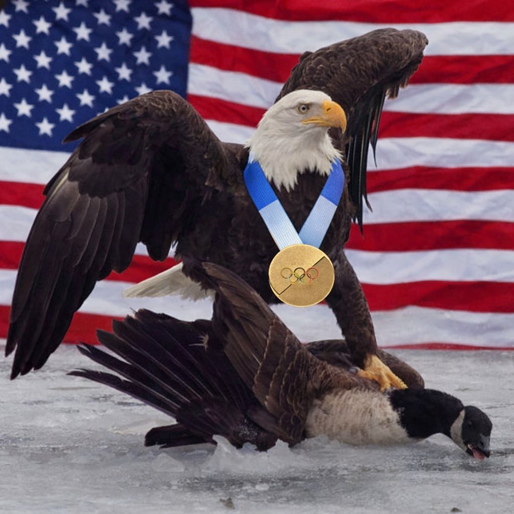 TimothyJGrant12's tweet photo. @DefenseBaron I like this one better https://t.co/n7unXFJdkw