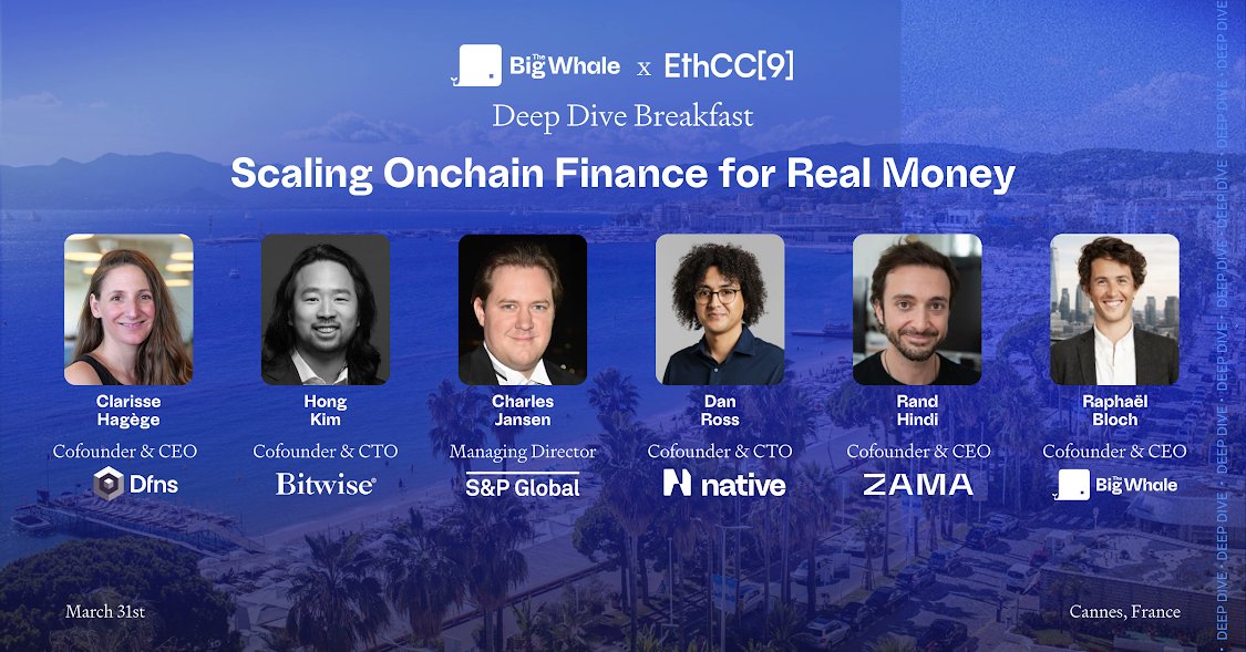 The Big Whale 🐳 tweet media