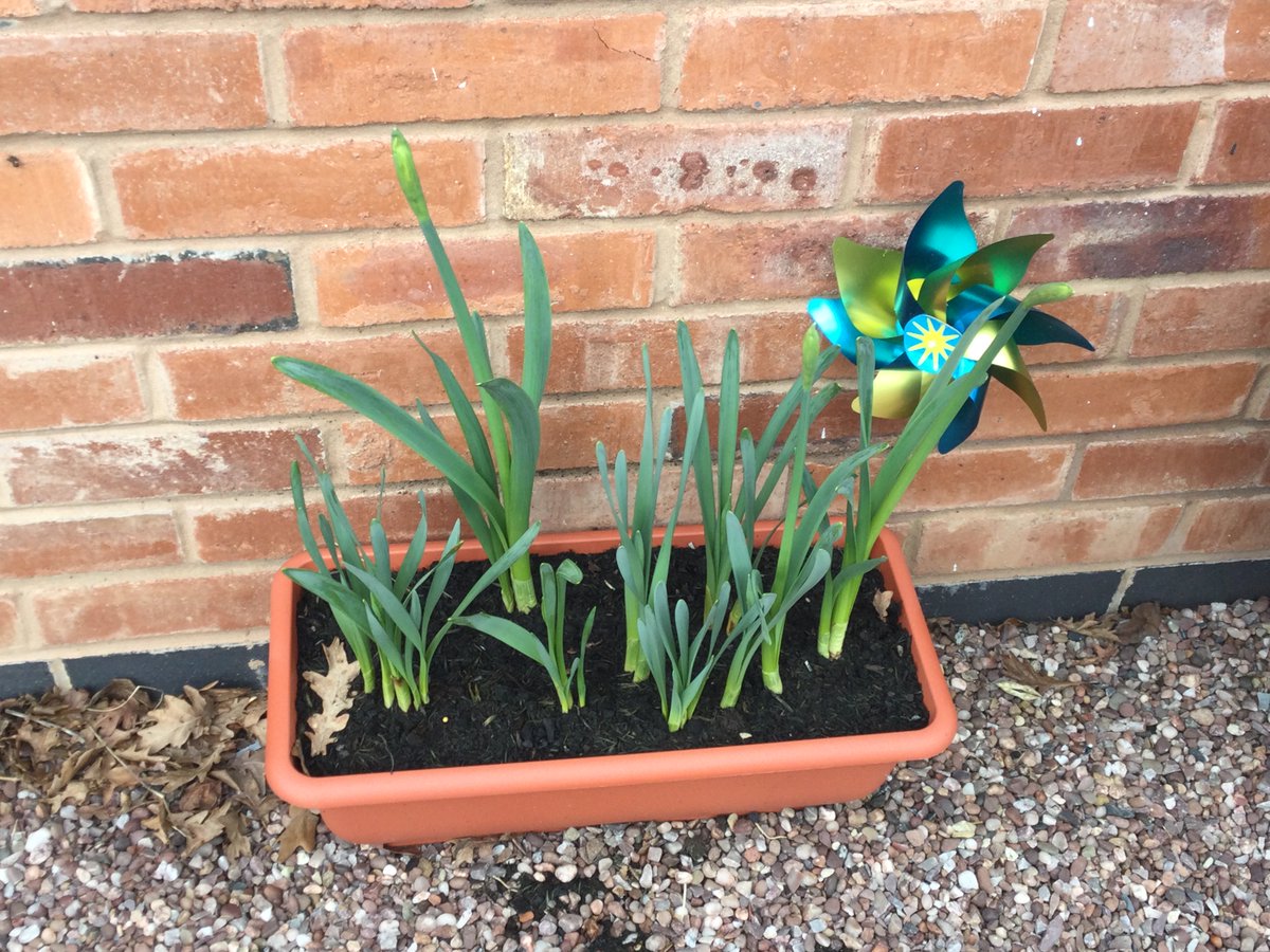 SEND Services for your School tweet media