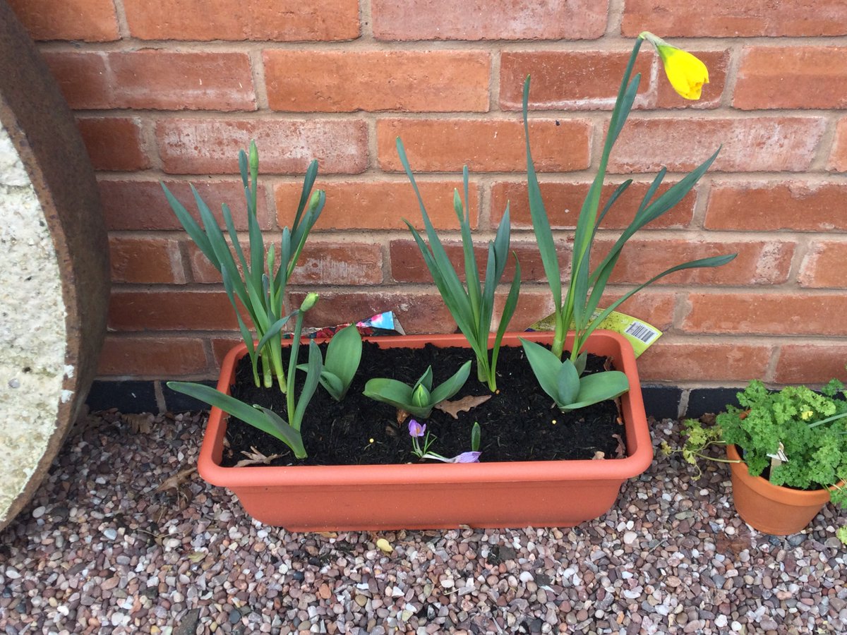 SEND Services for your School tweet media