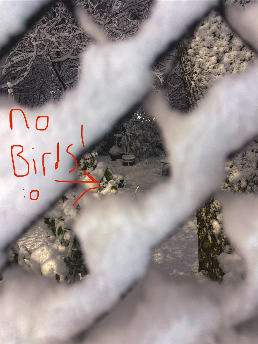 🐣Blizzard fun fact: When it gets really cold, Sparkbird gives every New York bird a place to stay and feeds them warm bird seed soup! 🍜

Don't forget to thank Sparkbird this winter!