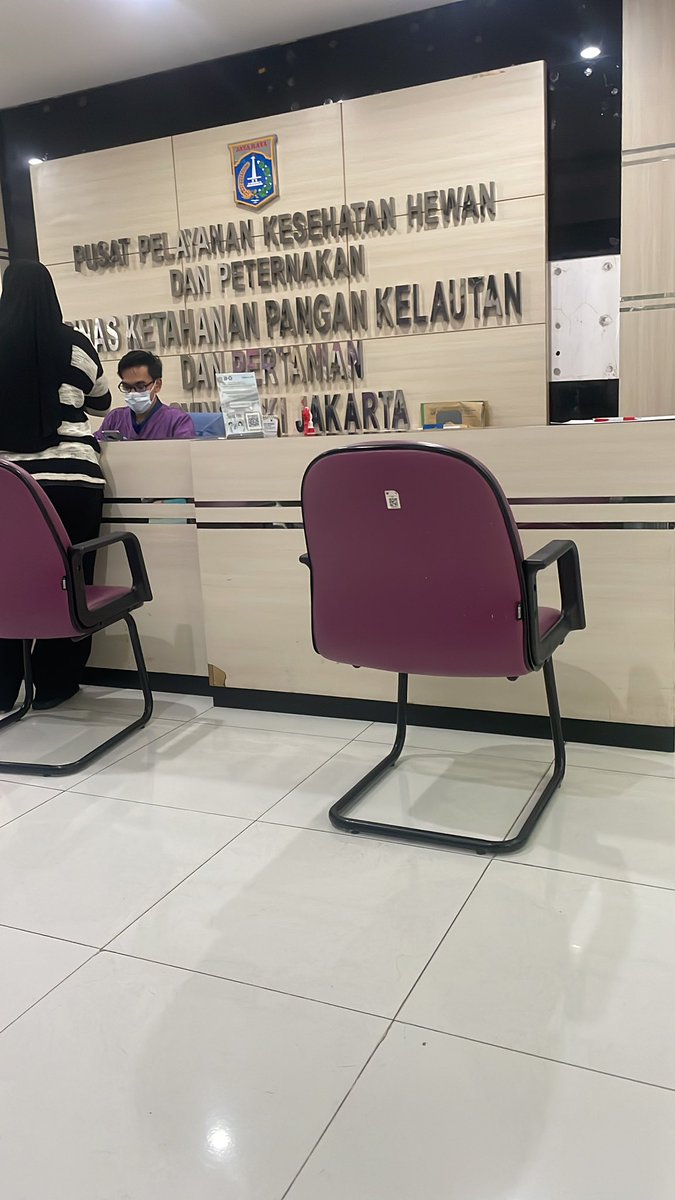 jomanuella's tweet photo. guys, krn gw panik dan ini posisi di pinggir jalan. gw sempet tinggalin kucingnya dan cari tempat buat istirahat. tapi pikiran gw ga lepas dari kucing ini. sejam kemudian gw balik dan si mpus masih disana. pasrah. kasian bgt pokonya. ga tega. gw tanya gpt ini lukanya separah apa, nyari puskesmas hewan, klinik, hub temen2 gw. sempet ovt jg kalo kucing liar; apalah2 dan akhirnya rasa iba gw mengalahkan ke-ovt-an gw dan gw putuskan bawa dia ke puskeswan di ragunan.￼