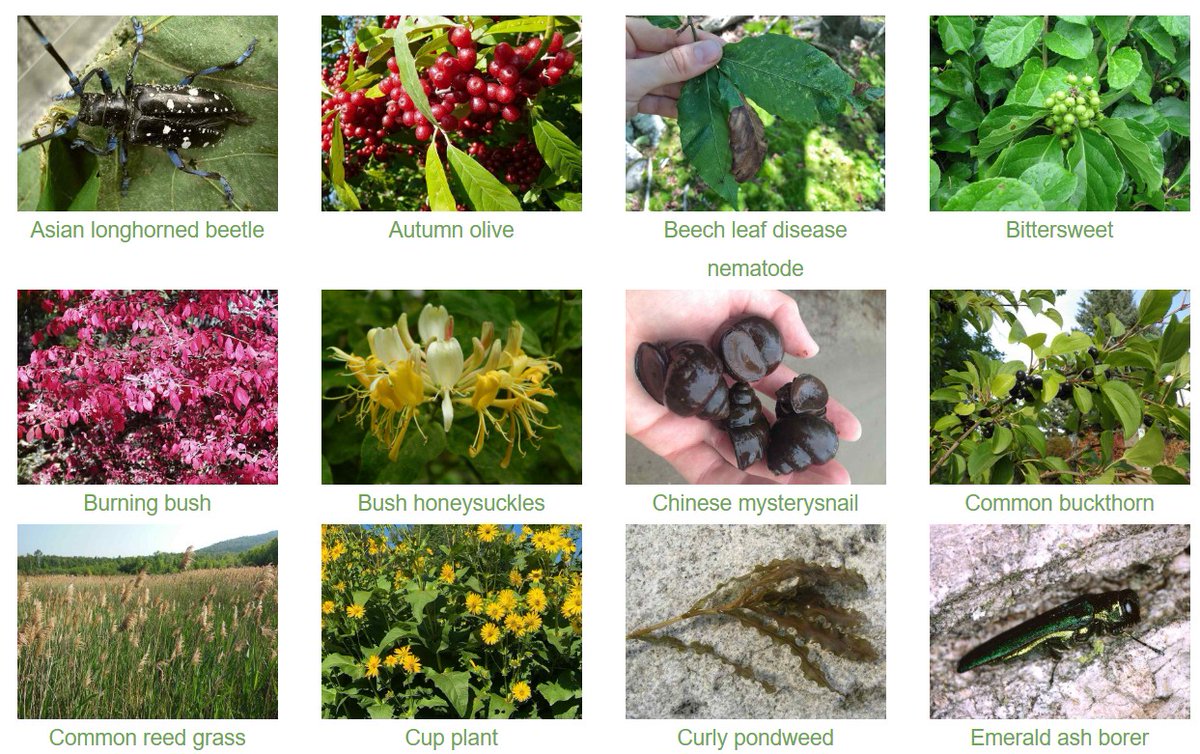 Ausable Freshwater Center tweet media