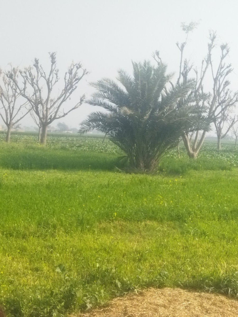 evi kartika 🌻 (@tikaevii) on Twitter photo 