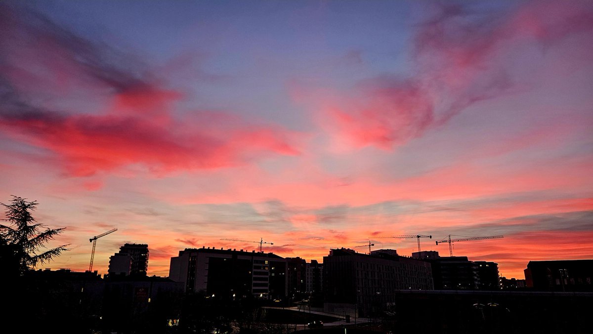 Esther Álvarez García tweet media