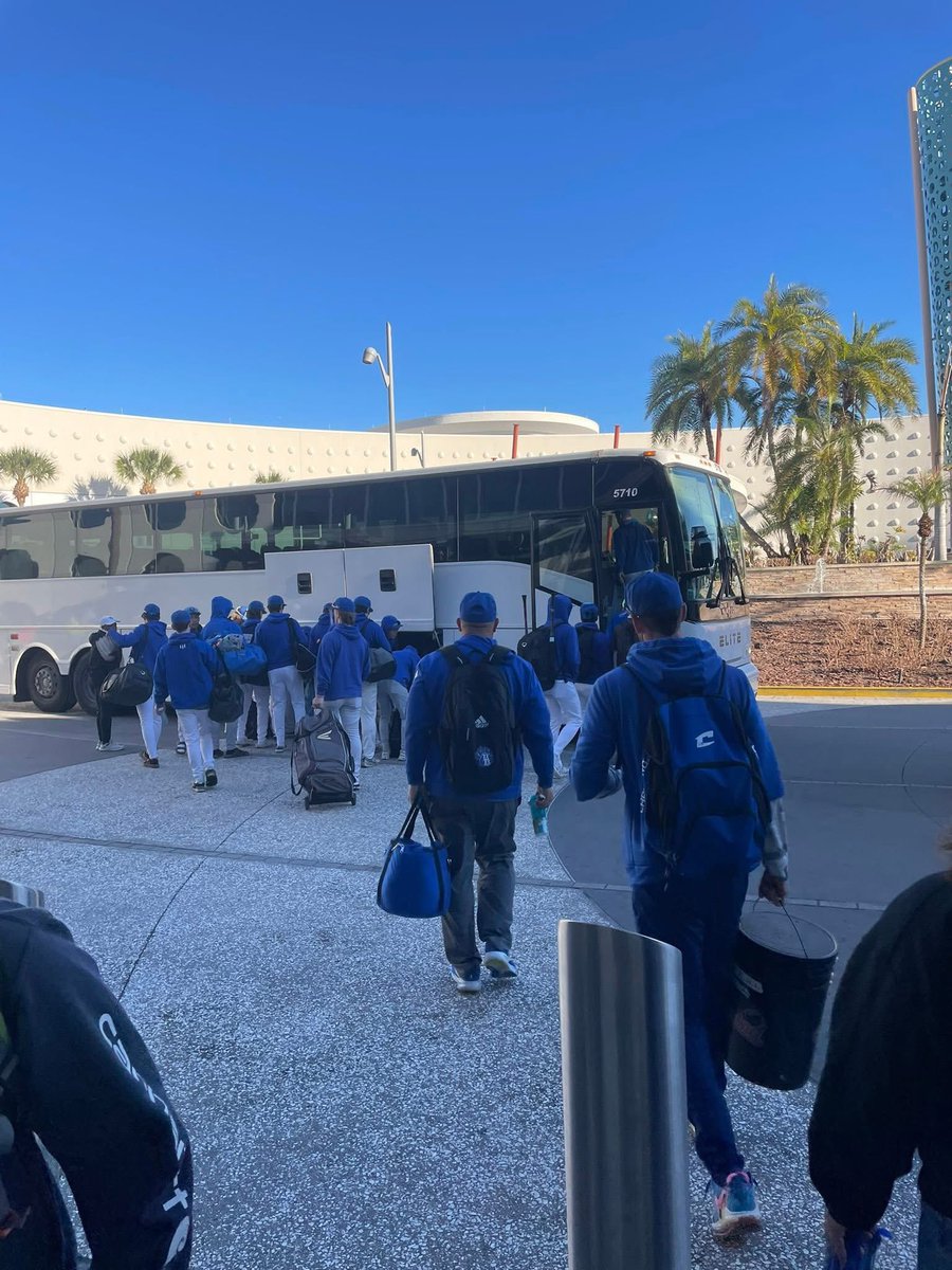 Art Senato tweet media