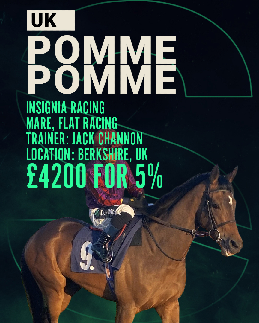 Smart Syndicate tweet media