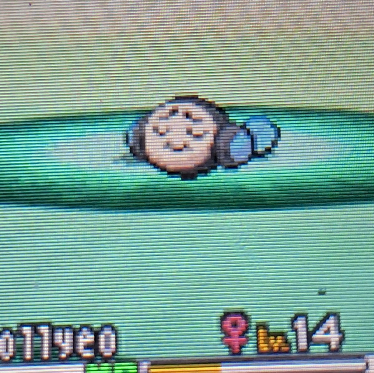 🦇HUGHMONGOUS HUGH FAN⁷ tweet media