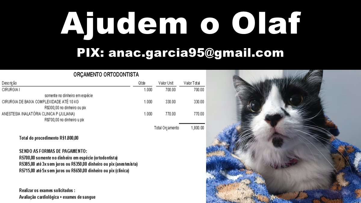 Esse é o Olaf, o gatinho idoso da Ana Garcia. Ela cuida dele com todo carinho do mundo e descobrimos que ele tá com problemas dentários urgentes! No exame de sangue também deu que a creatinina dele tá alta e pode precisar operar isso também... 😭
Precisamos de ajuda!! Segue + 👇