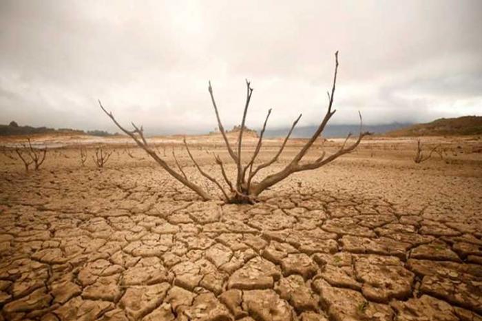 🌱💲⁉️| Pifia ecológica, las pistas del dinero.

📊 Análisis de tendencias globales subrayan las contradicciones entre intereses económico-financieros y desarrollo sostenible.

Ver más:
acortar.link/BbyCat