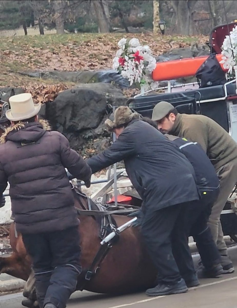 UPDATE: Response to city, horse tripped and fell. Right. Standing on a hack line. Haven't we heard this before? Right out of the carriage horse clown handbook. Four decades, countless horses I have seen NEVER tripped and fell at a walk or standing. <a href="/nyclass/">NYCLASS</a> <a href="/nypost/">New York Post</a> <a href="/TWULocal100/">TWU Local 100</a>