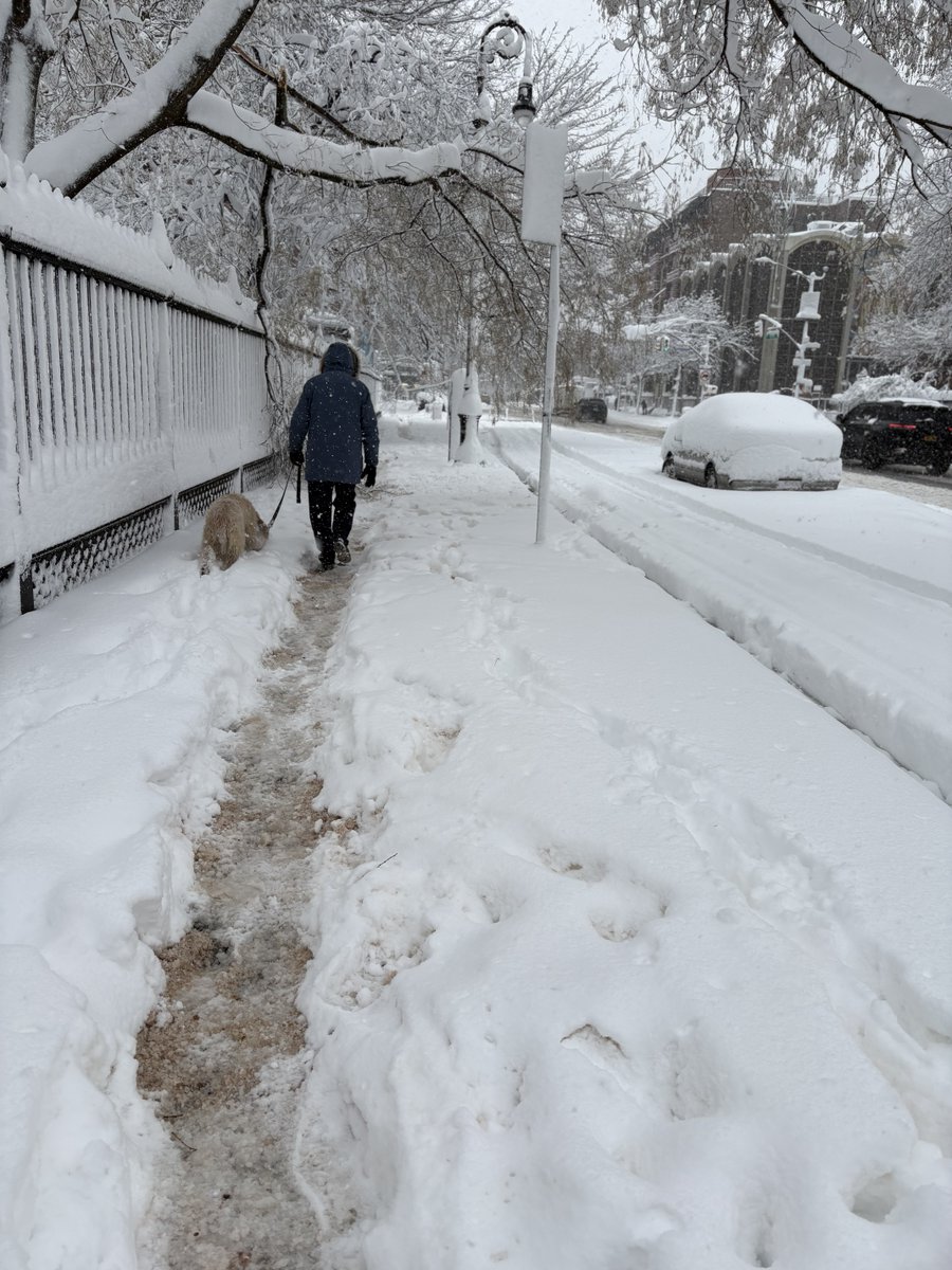 🥶
New York, ore 13 
E sta ancora nevicando