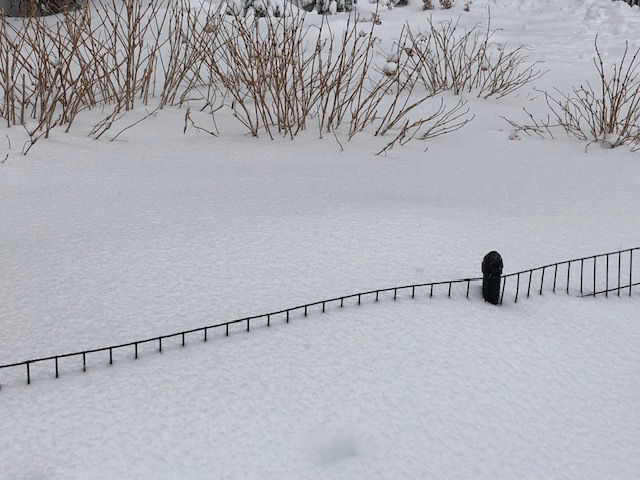 Ellen Datlow tweet media