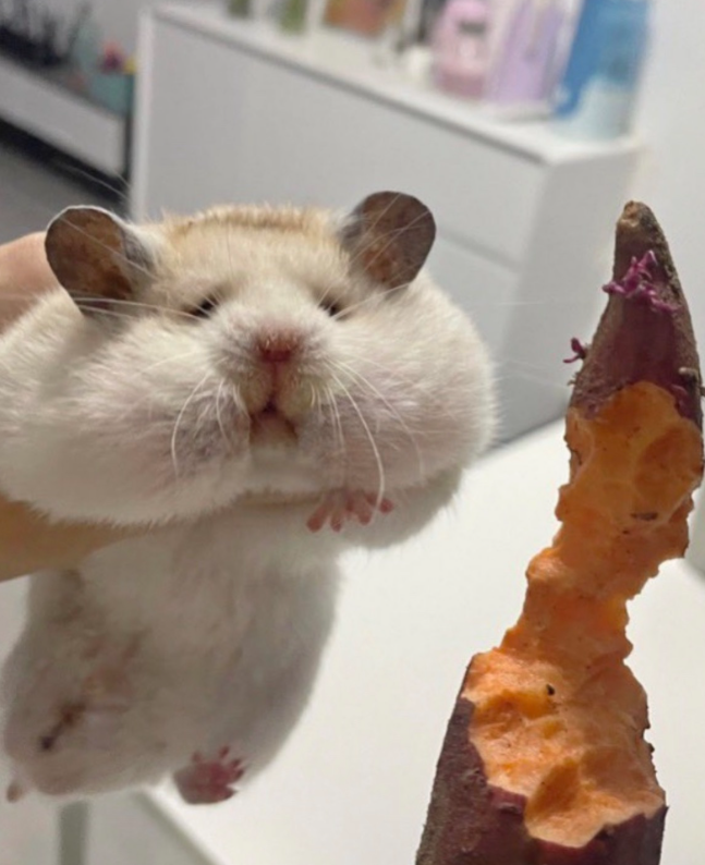 🌟 NitroxArts 🌟 tweet media