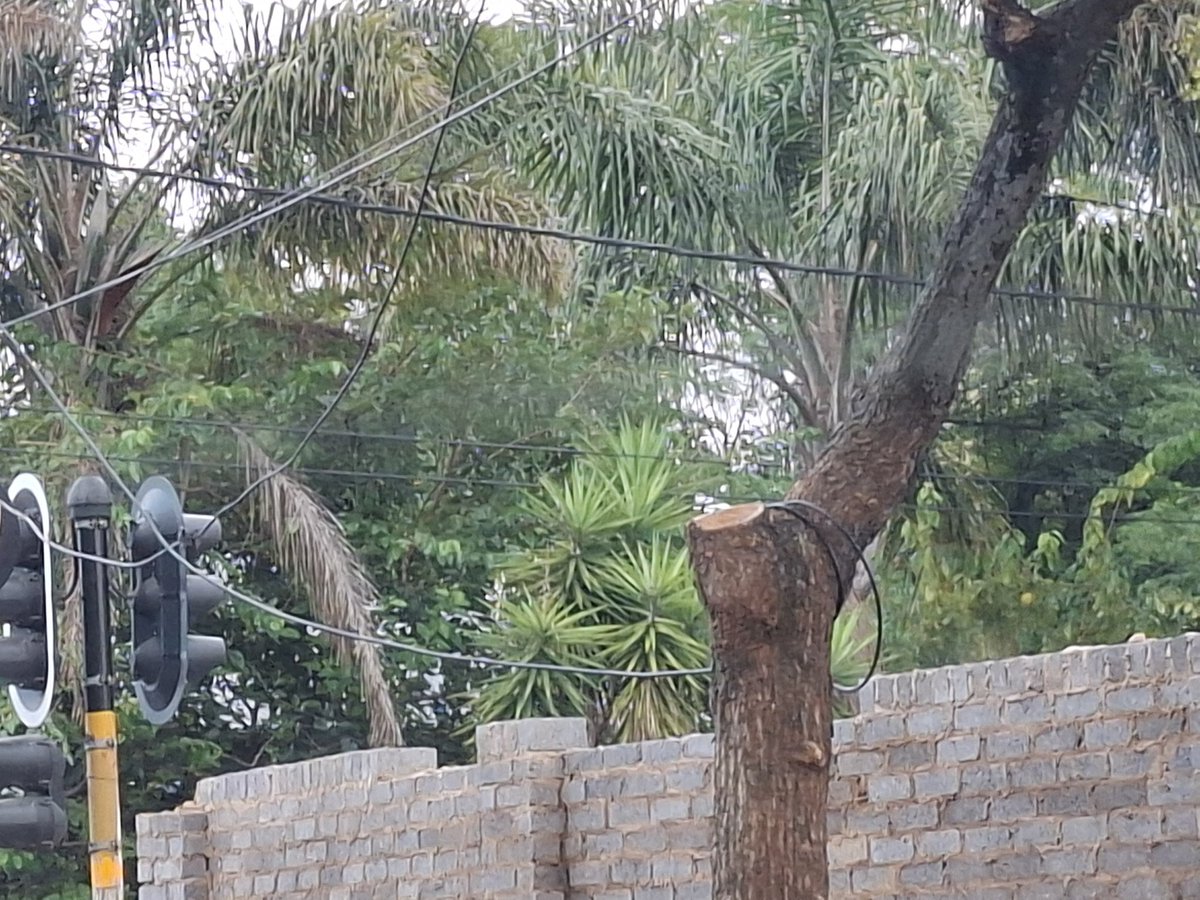 JonathanLevin8's tweet photo. @CityPowerJhb @CityofJoburgZA Dear CoJ and CP teams, im still waiting for the above issue to be repaired. My tickets have been closed citing that it was a successful repair. This is not the case. Would appreciate if you investigate and escalate this. https://t.co/Sk4qSHxWXu