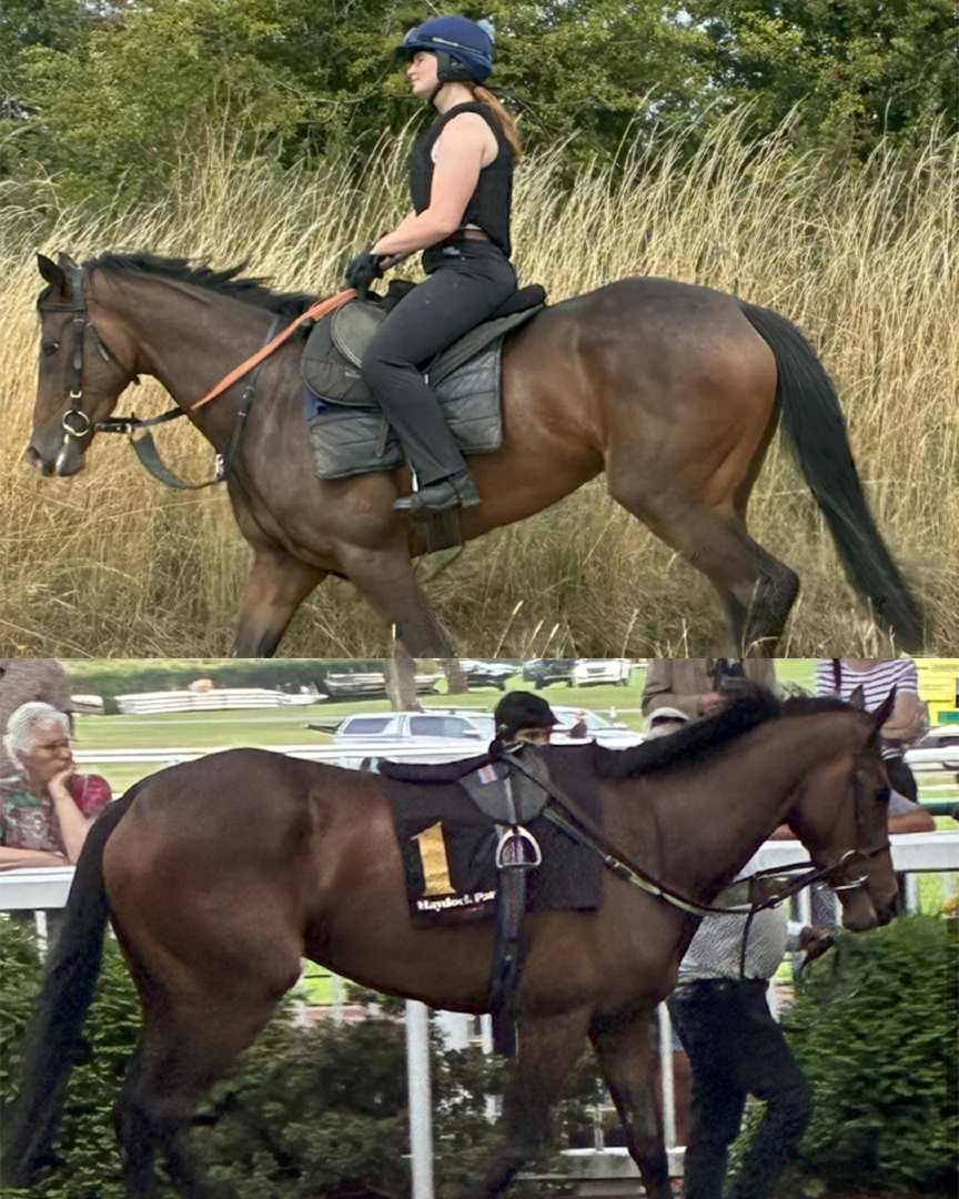 Smart Syndicate tweet media