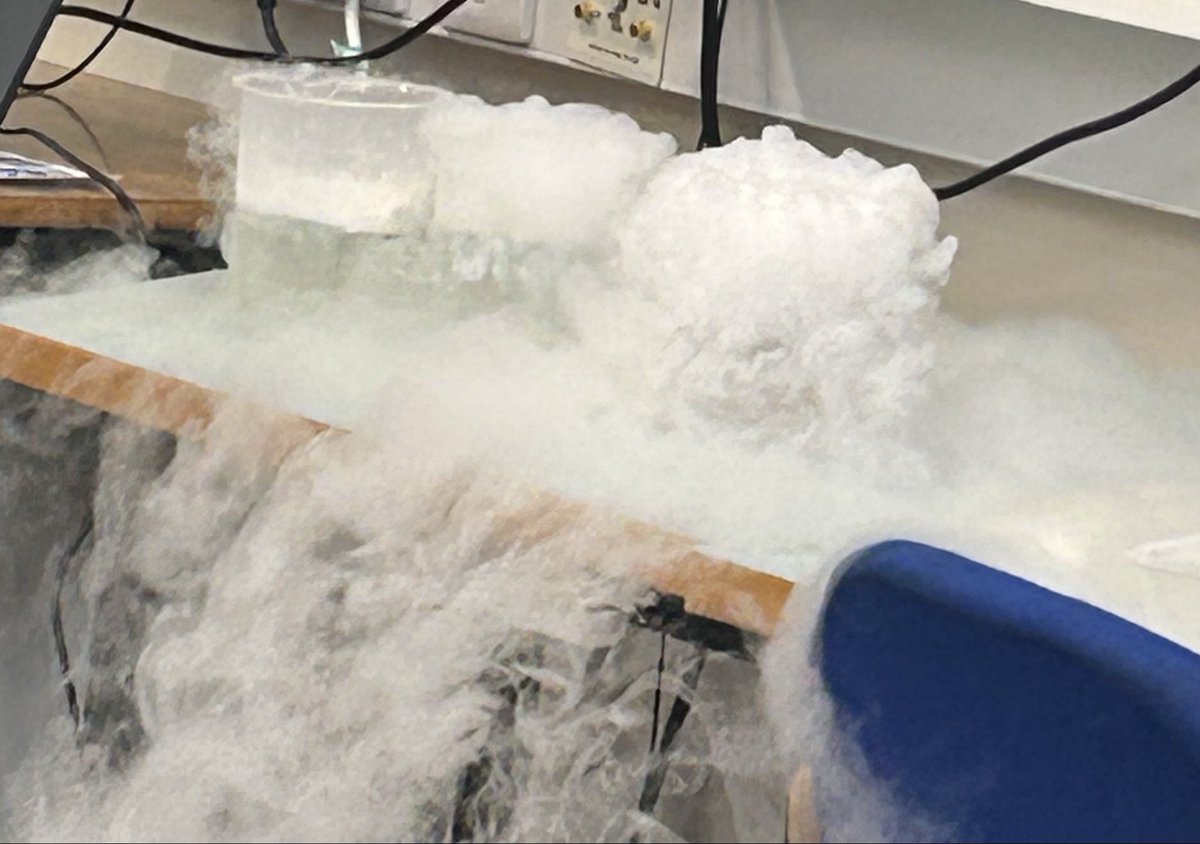 Mill Strand IPS tweet media