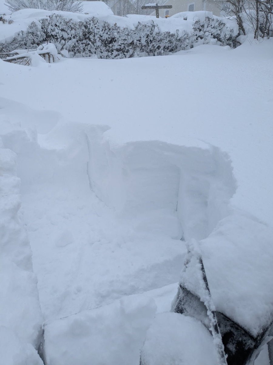 vdot △⃒⃘ tweet media