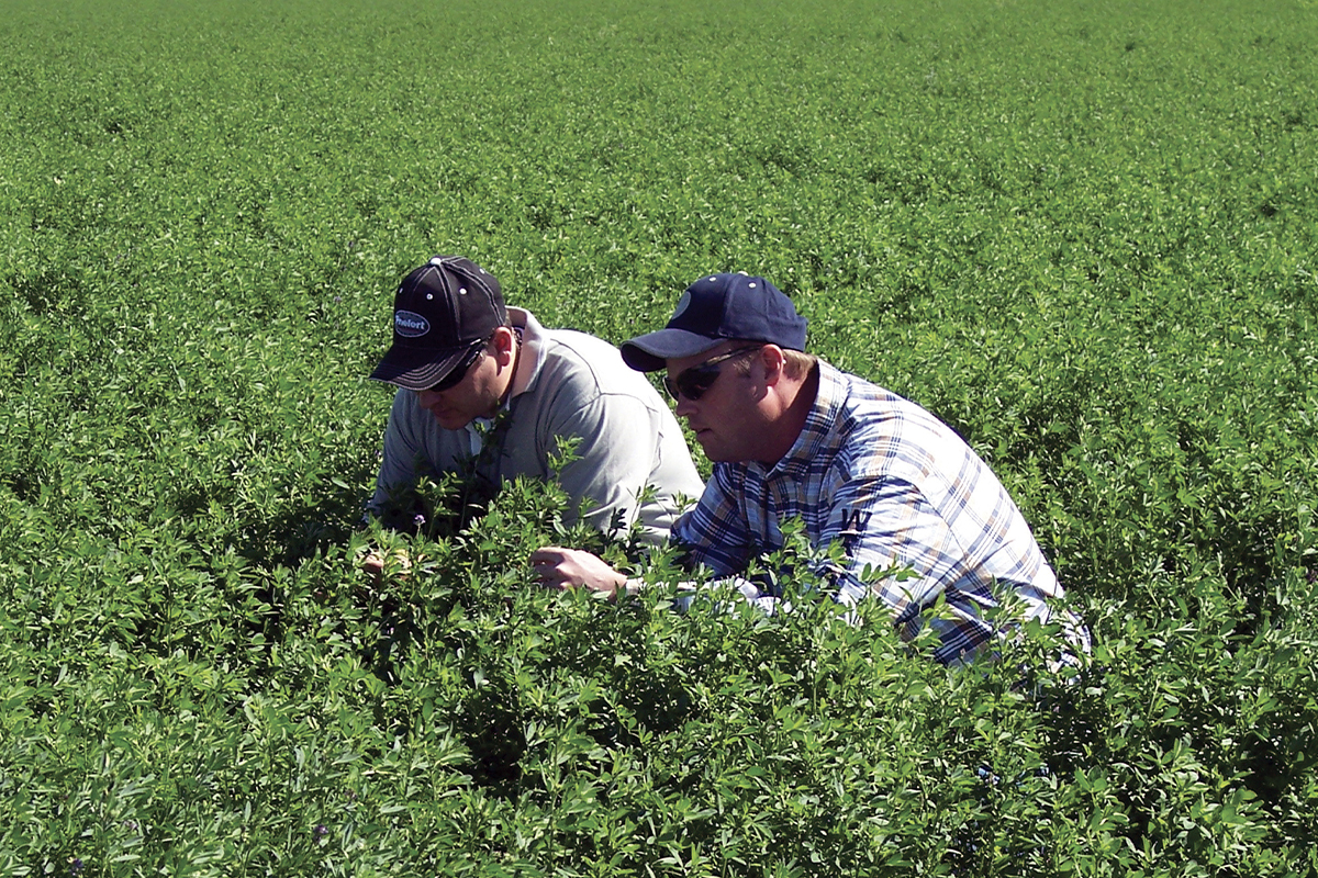 IFA Country Store tweet media